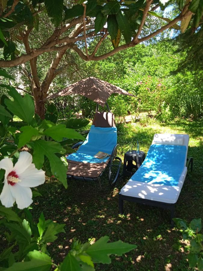 Apartamento Blue Bribir  Exterior foto